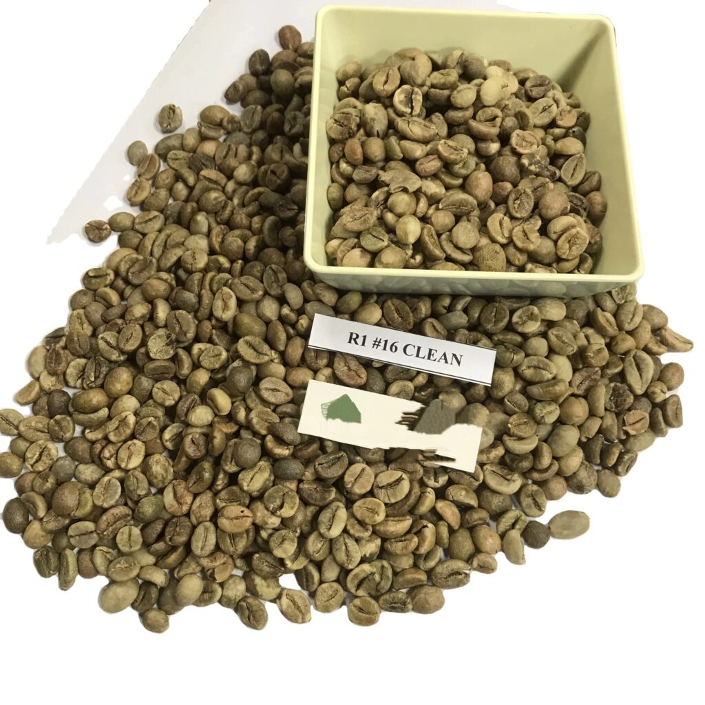 Arabica A1/A2/A3 R1/R2/ Screen 18/16/13 Robusta Coffee Green Coffee Beans Arabica and Robusta Vietnam Coffee Export