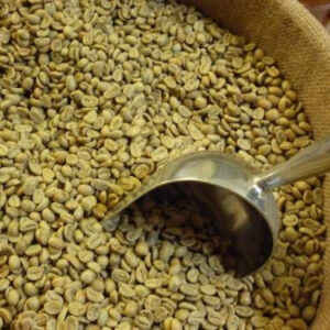 Competitive Price Green coffee bean for diet