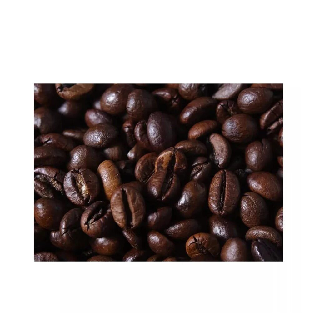 Hot Selling Arabica And Robusta Green Coffee Beans