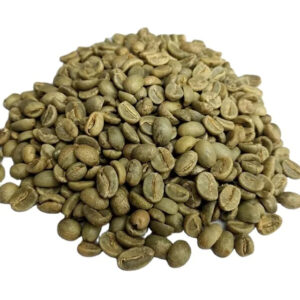 Vietnam Robusta Green Coffee Beans Robusta Coffee Bean Processing Exporting Quality