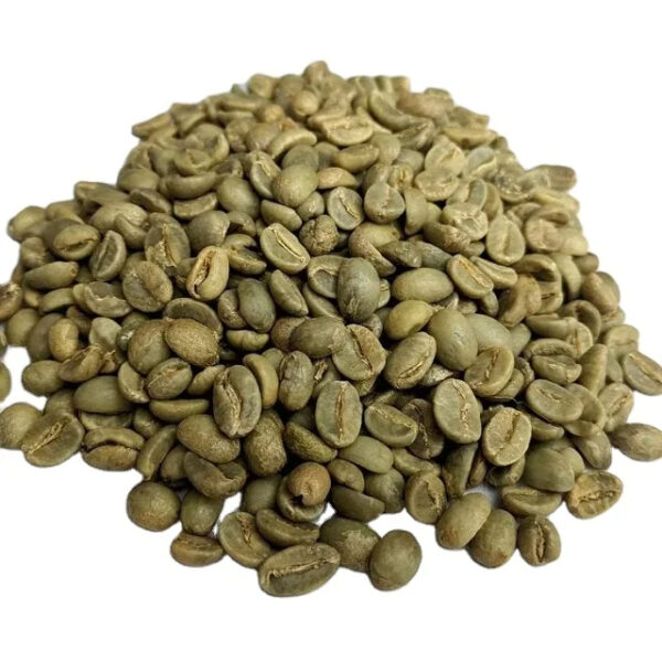 Vietnam Robusta Green Coffee Beans Robusta Coffee Bean Processing Exporting Quality