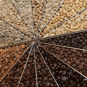 Coffee Factory Roasted Coffee Bean High Quality Coffee Beans Wholesale Custom Brand Whole Beans