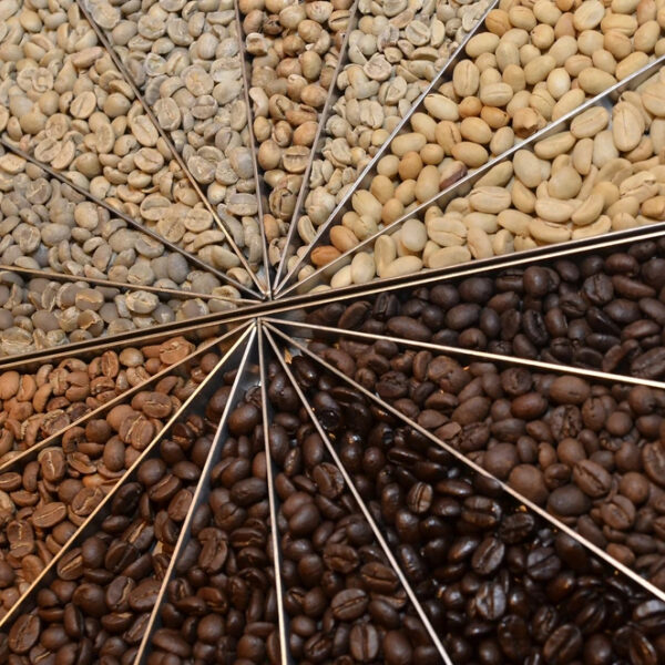 Coffee Factory Roasted Coffee Bean High Quality Coffee Beans Wholesale Custom Brand Whole Beans