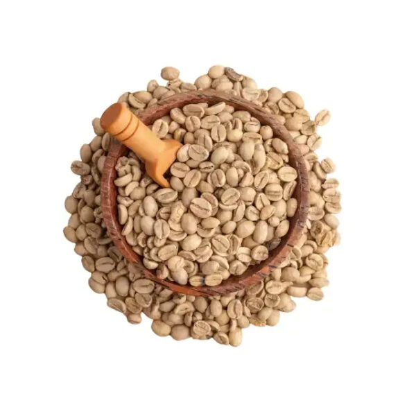 Graded Arabica Green Coffee Beans High Quality Catimor Arabica Green Coffee Beans Fully Washed Processing S16/18 from Vietnam