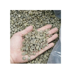 VIETNAM ARABICA GREEN COFFEE BEANS HIGH QUALITY CHEAP PRICE