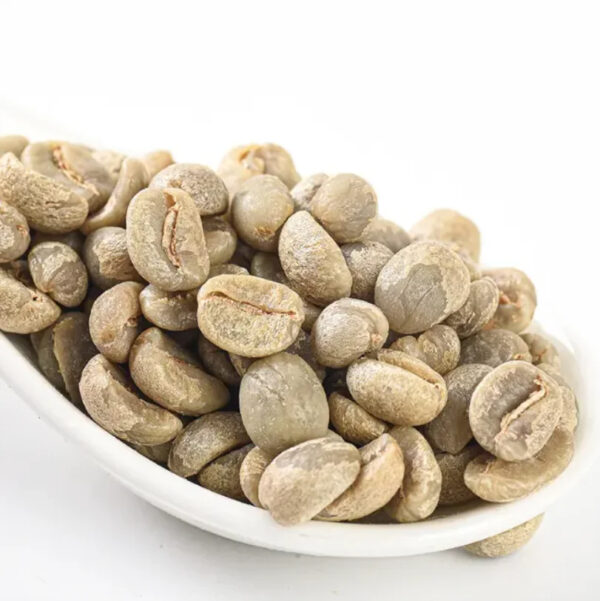 Green Arabica Coffee Beans100% Specialty Green Robusta Coffee beans High Quality Coffee with Affordable Price
