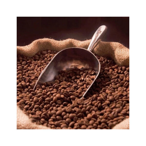 Fresh Raw Arabica Bugisu Supremo Colombian Coffee 1 KG Coffee Beans from Uganda.