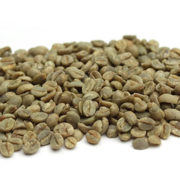 Brazil Green Arabica and Robusta Coffee Beans / Raw Coffee Bean Green Coffee Natural Arabica.