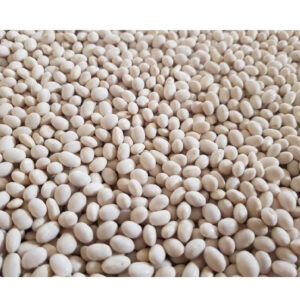 Premium Quality and Hot Seller Ethiopia White Pea Bean for Wholesale