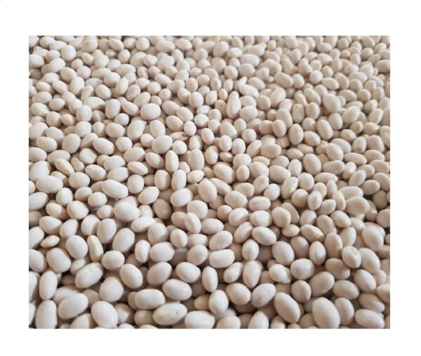 Premium Quality and Hot Seller Ethiopia White Pea Bean for Wholesale