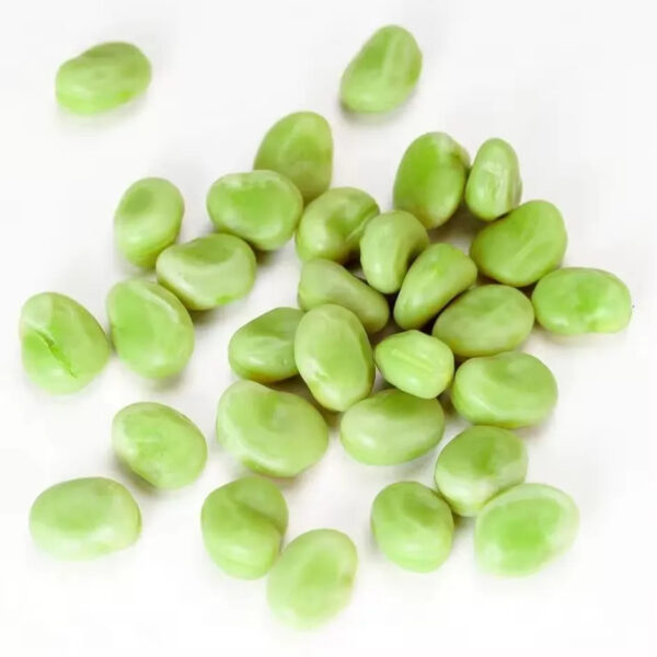 Healthy Frozen Soybean Vegetables Sell Well in China with High-quality Fava Beans