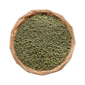 China Factory Price Sprouting Grade Green Mung Beans Export for Vietnam Market