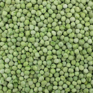 100% Natural Green and Fresh PEAS From Totally Natural Process and Technique With Good Price and Color