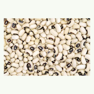 High Quality Pure Natural Black Eyed Peas Beans Cowpea Beans Organic Black Eye White Beans for Sale