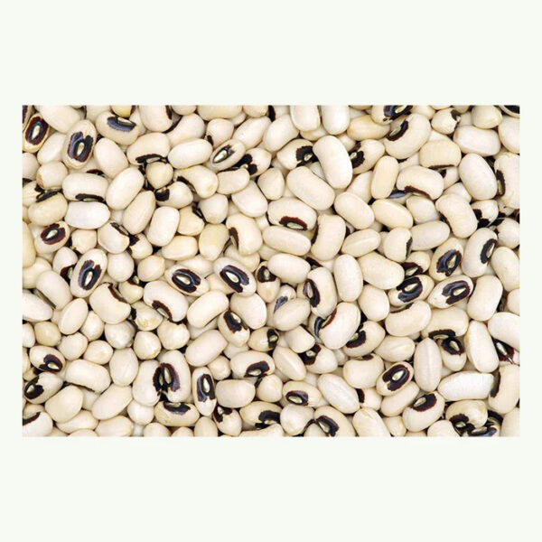 High Quality Pure Natural Black Eyed Peas Beans Cowpea Beans Organic Black Eye White Beans for Sale