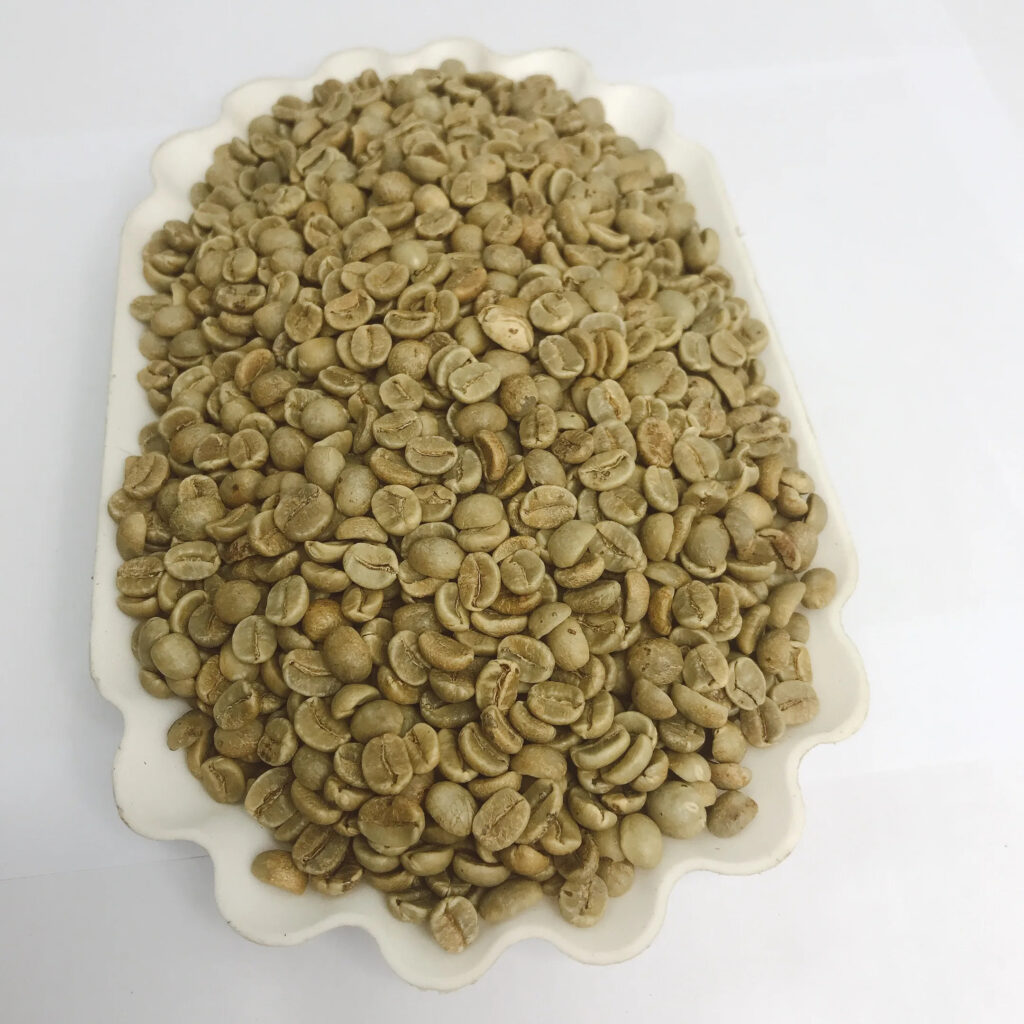 100% Unroasted Arabica and Robusta Coffees Classic Ground Coffee Medium Roast 100g Ground Coffee from Son La Vietnam