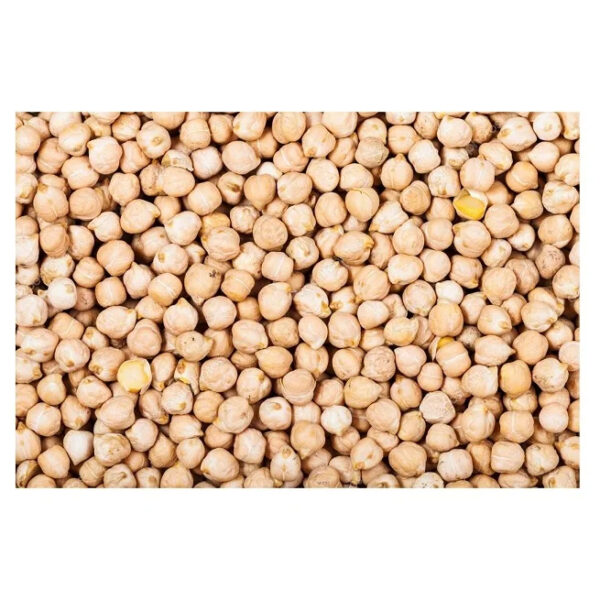 White Chick Pea Beans Natural Organic Desi Chickpeas Good Quality Chick Pea Desi Beans