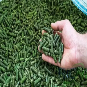 PREMIUM HOT SELLING Alfalfa Hay Pellets AVAILABLE NOW