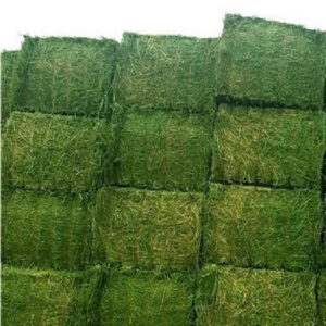 Buy Top Grade Alfalfa for Animal Feed / Alfalfa Hay in Bulk for Sale