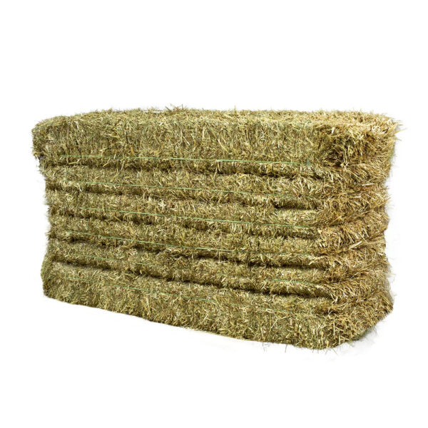 Top-Grade Alfalfa Hay Superior Quality Optimal Digestibility for Animals