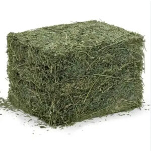 Bulk ALFAFA HAY READY for SUPPLY/ Alfalfa hay with High Protein for Animal Feeding in Bulk