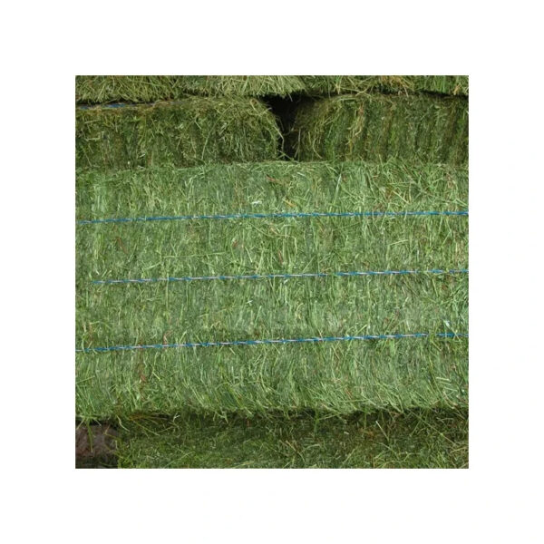 Top Quality Alfafa Hay for Animal Feeding Stuff Alfalfa / Alfalfa Hay