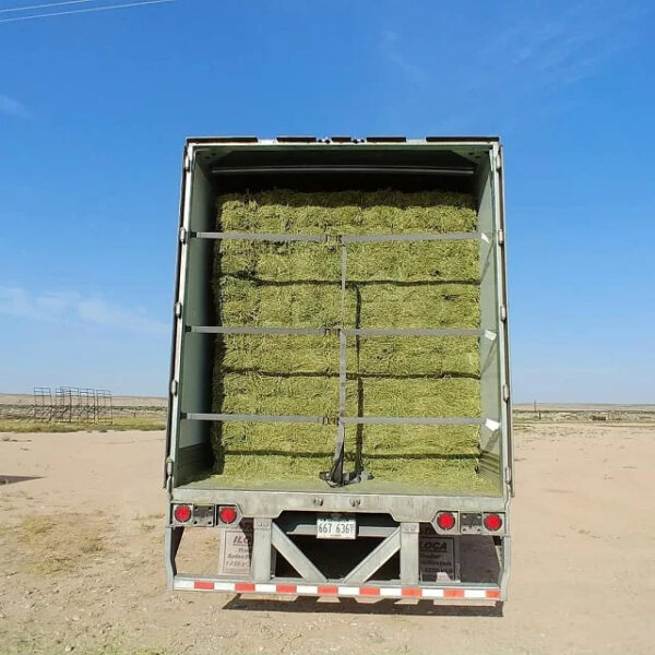 Animal Feeding Alfalfa Hay in Bales for Sale for Wholesale/ Bermuda Orchard Grass for Sale in Bulk