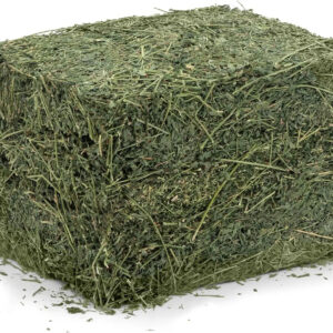 Premium Alfalfa Hay Deals for Livestock Nutrition Wholesale Wellness for Fish Horse Pig Animal Feed Use Soybean Meal