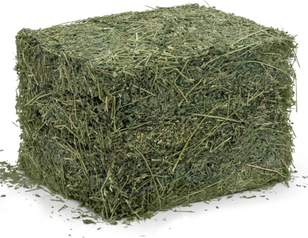 Premium Alfalfa Hay Deals for Livestock Nutrition Wholesale Wellness for Fish Horse Pig Animal Feed Use Soybean Meal