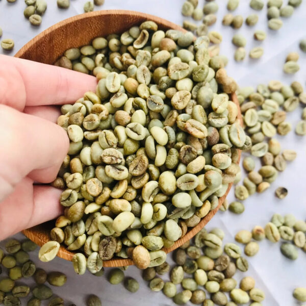 Price Robusta Coffee Green Beans Vietnam Coffee Full washed SCR18 Grade Vietnam Arabica Coffee Bean