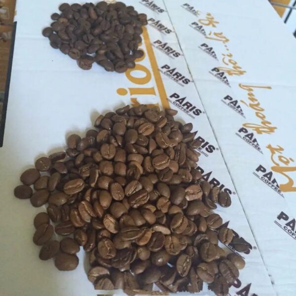 Global Original Sources EU standards certified custom roasted coffee For nutraceutical industry