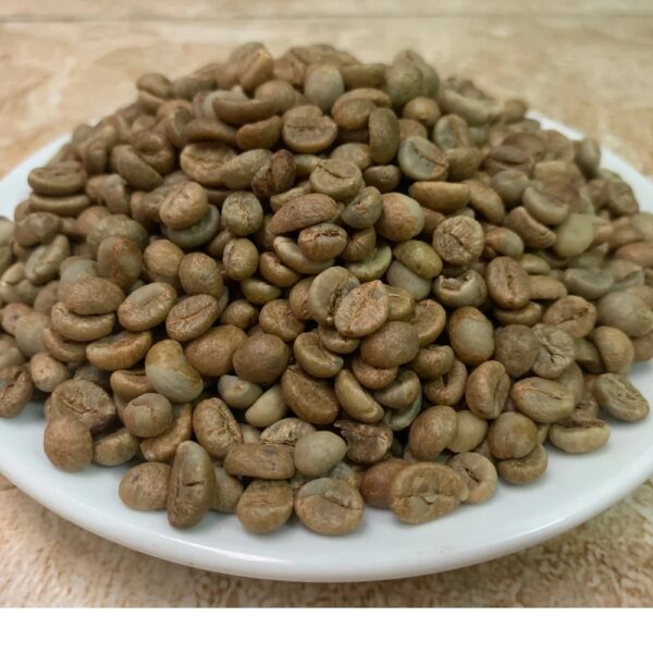 Green coffee beans Robusta S16 from Buon Me Thuot Vietnam High quality Raw coffee processing Honey Washed for sale
