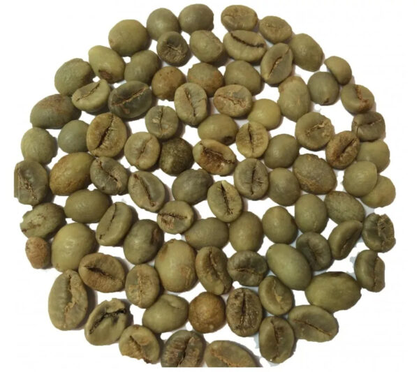 VIETNAM GREEN ROBUSTA COFFEE BEANS WET POLISHED S13 S16 S18 LEADING EXPORT COFFEE