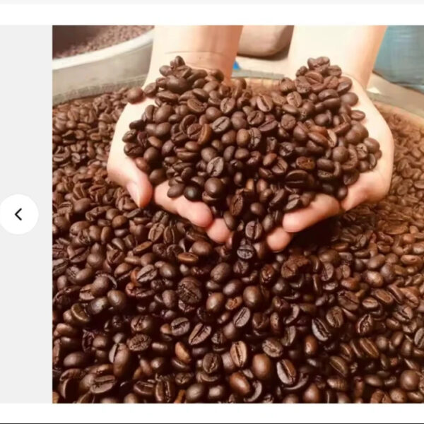 Factory Priced Traditional Medium Roast Arabica Coffee Beans Private Label Bulk Stress Reduction Dried Coffee Beans