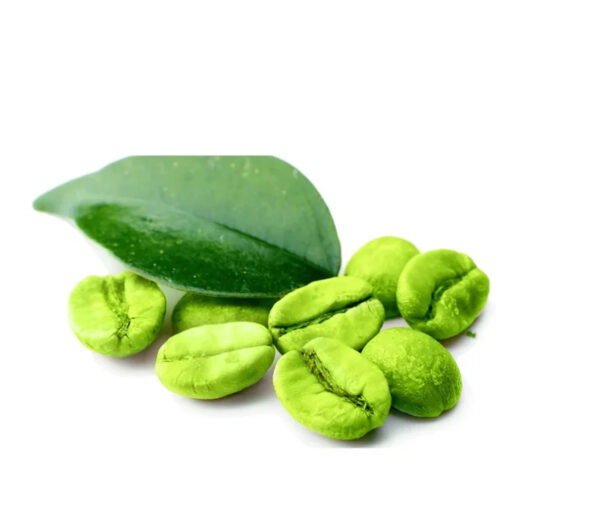 Price Robusta Coffee Green Beans Coffee Full washed SCR18 Grade Vietnam Arabica Coffee Bean