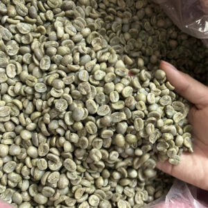 Top Selling Whole Green Coffee Beans Robusta & Arabica with Premium Quality at Competitive Prices from Vietnam