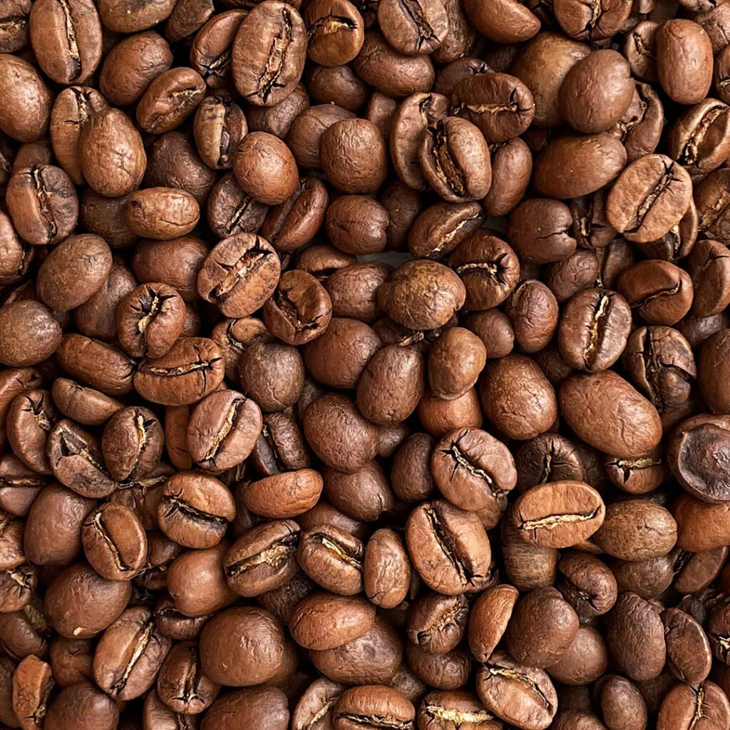 Aromatic Robusta Coffee Beans Vietnam Green Coffee Beans Made in Vietnam Bean ISO22000 2018 High Quality 18 Drink Roasted Coffee