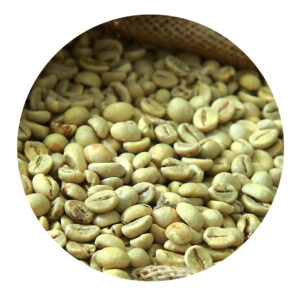 Export Quality Green Coffee Bean Factory Direct Sale Robusta Coffee Wholesale Price High Grade Fresh Robusta Coffee.
