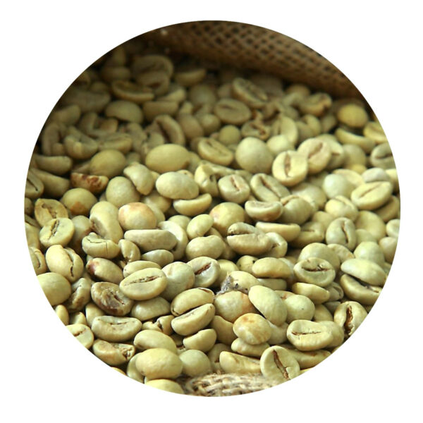 Export Quality Green Coffee Bean Factory Direct Sale Robusta Coffee Wholesale Price High Grade Fresh Robusta Coffee.