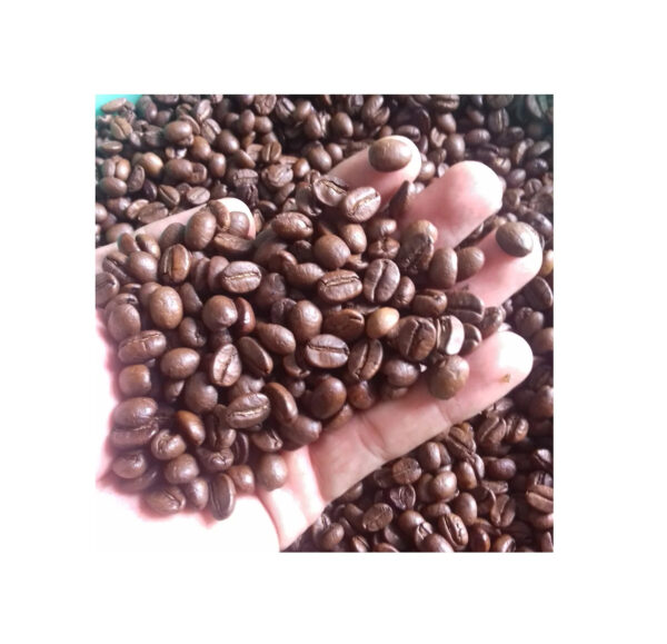 UNROASTED ARABICA GREEN COFFEE ROASTED WITH ROBUSTA GREEN COFFEE