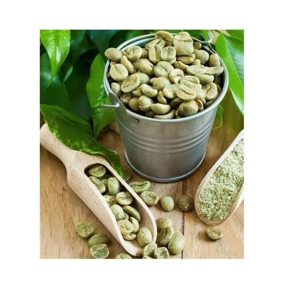 For Sale Yunnan Arabica Green Coffee Beans - Image 5