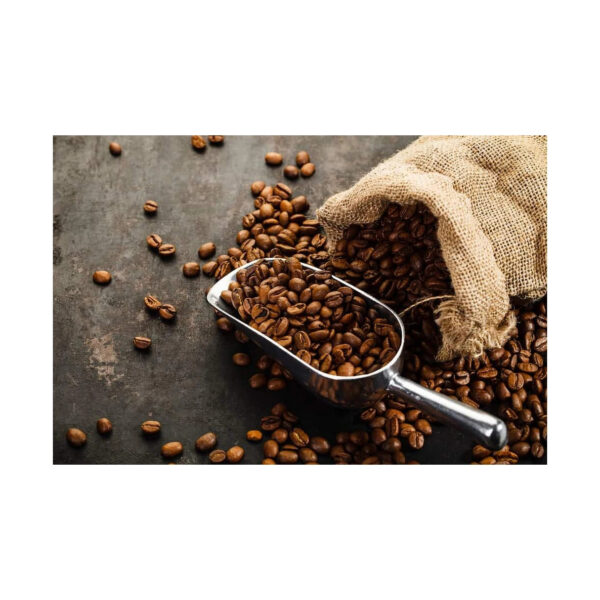 ROBUSTA COFFEE/ARABICA COFFEE BEANS/GREEN COFFEE BEAN FOR SALE - Image 2