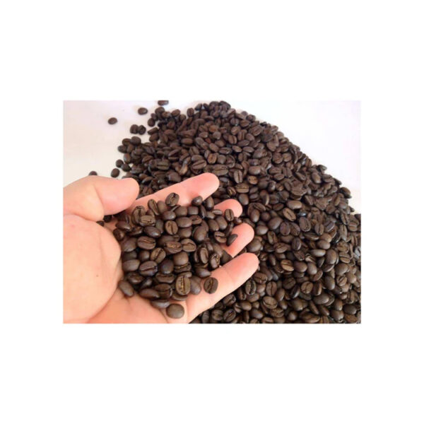 High Quality Robusta Coffee Beans Green/Dried/ Roasted Export Style at Competitive Price - Image 2