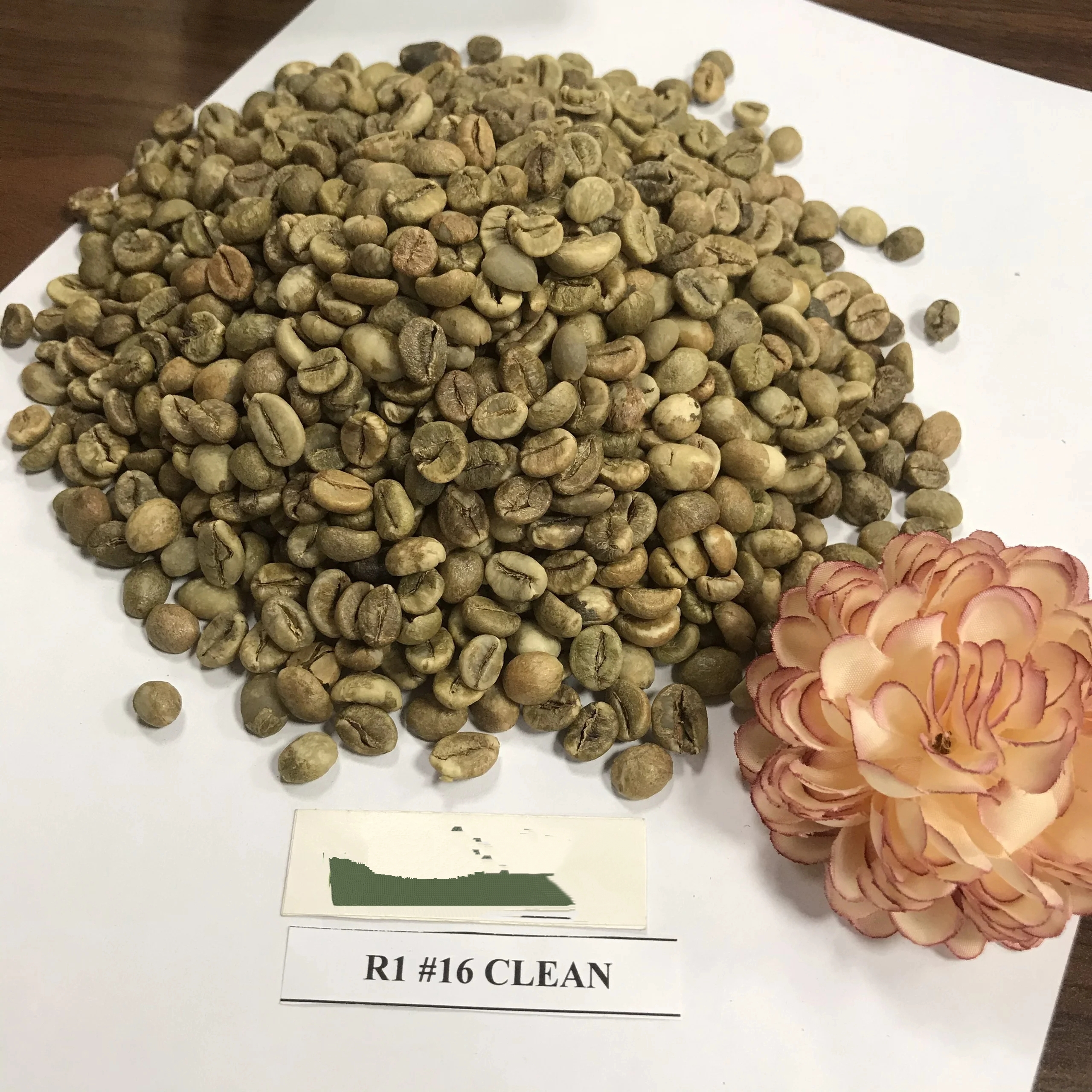 Arabica A1/A2/A3 R1/R2/ Screen 18/16/13 Robusta Coffee Green Coffee Beans Arabica and Robusta Vietnam Coffee Export - Image 2