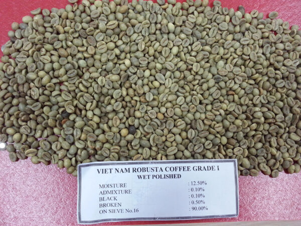 NEW CROP 2024 VIETNAM ROBUSTA COFFEE BEAN SCR 13 16 18 FROM VIETNAM - Image 2