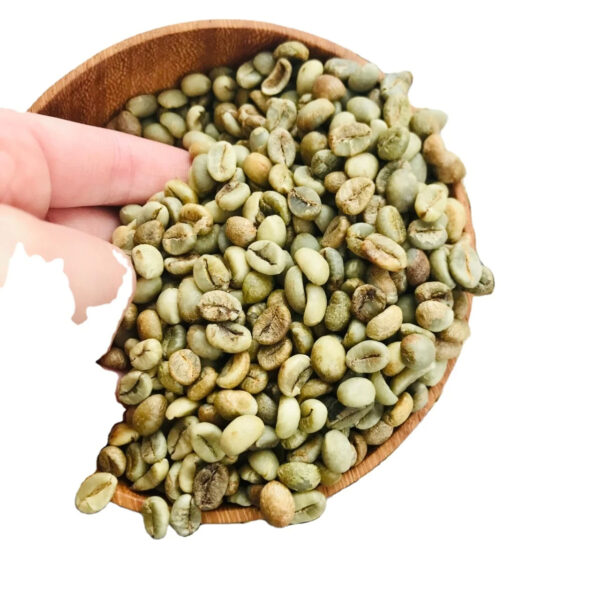 Vietnam Robusta Roasted Coffee Beans Green Coffee Export Wholesale Vietnam - Image 2