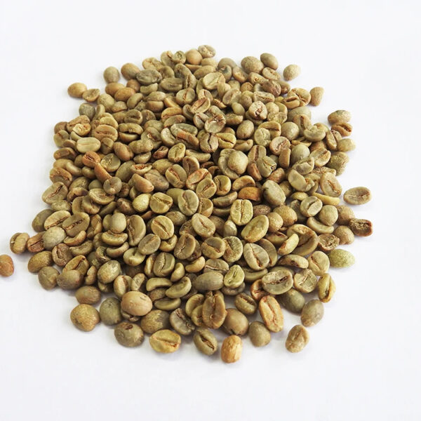 Robusta coffee beans - Image 2