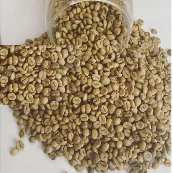 Vietnam Robusta Green Coffee Beans Robusta Coffee Bean Processing Exporting Quality - Image 2