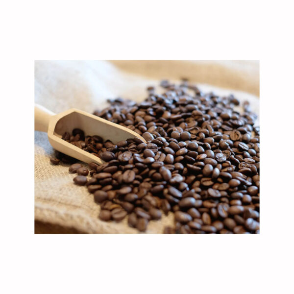 Wholesale Price Gold Blend 100% Arabica Coffee Bean Halal for home office or horeca - Image 2