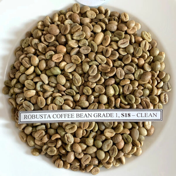 BEST SELLER 2024 Vietnam green coffee beans Robusta fast shipping cheap price . - Image 2